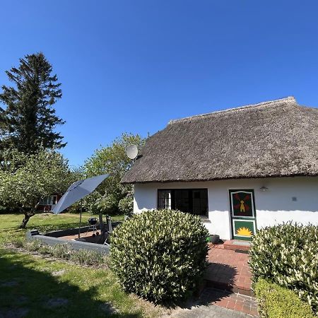 Ferienhaus Ilva In Born 빌라 외부 사진