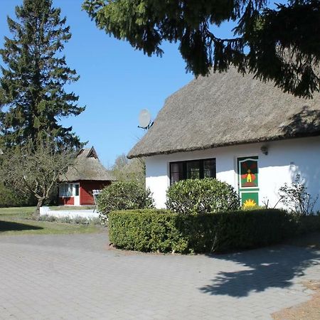 Ferienhaus Ilva In Born 빌라 외부 사진