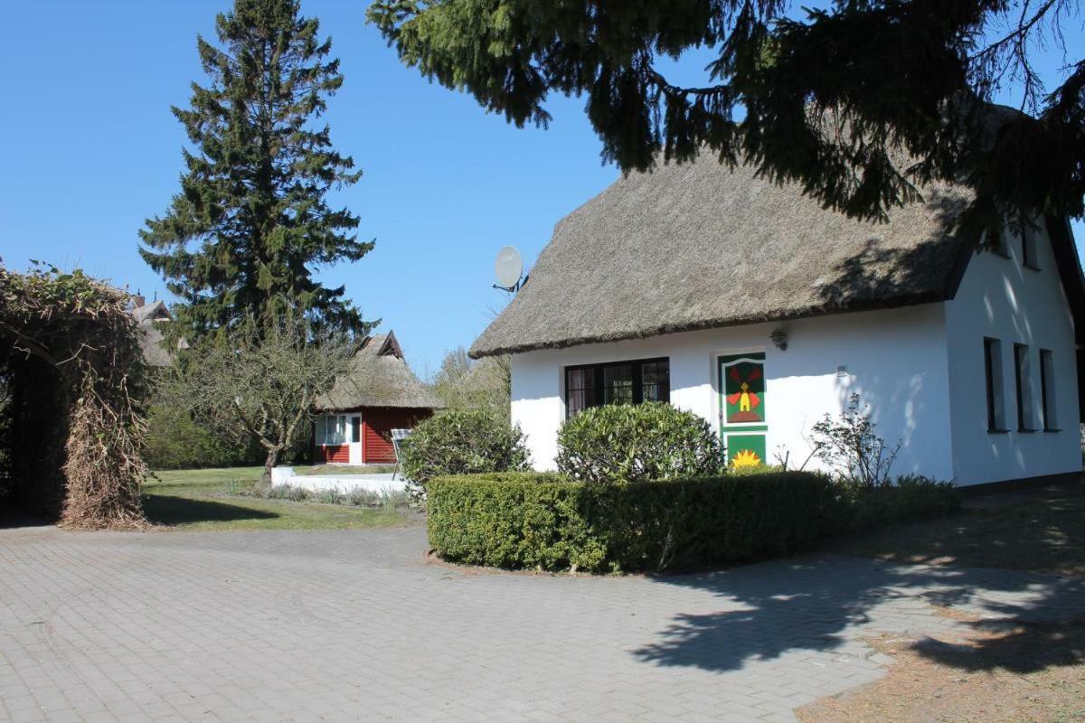Ferienhaus Ilva In Born 빌라 외부 사진